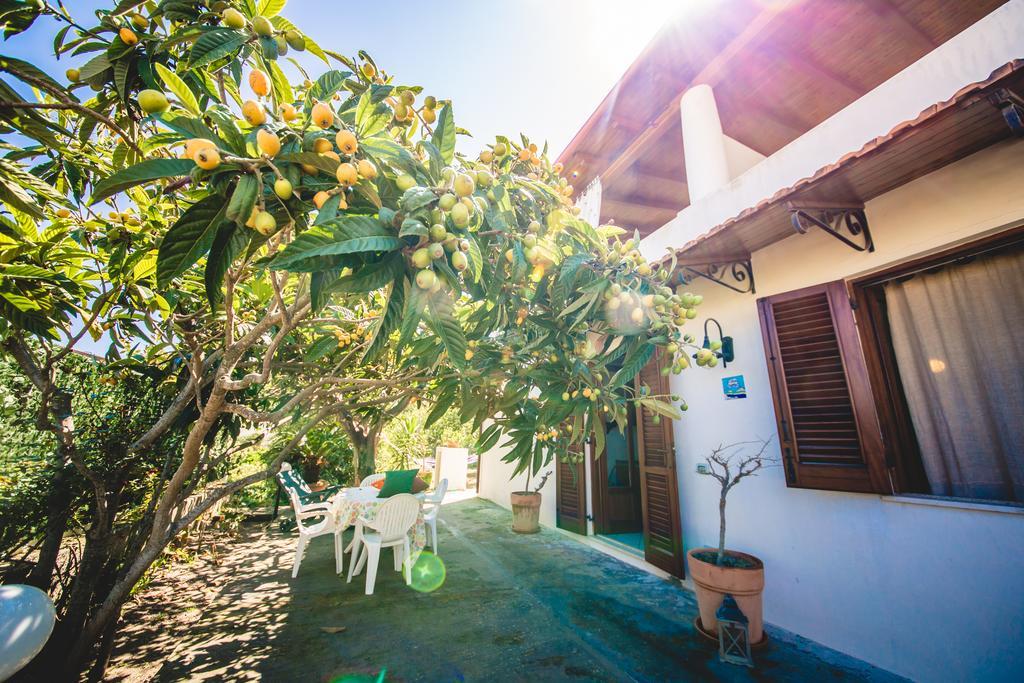 Casa Papiro